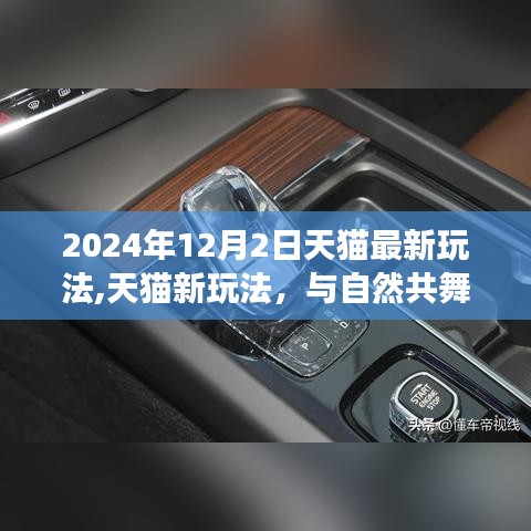 天貓新玩法探索，與自然共舞的日子，開啟內(nèi)心平靜的奇妙之旅（2024年天貓最新玩法介紹）