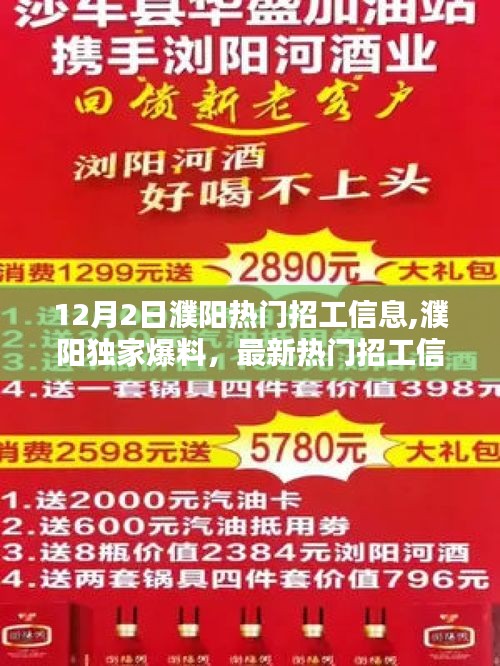 12月2日濮陽(yáng)熱門招工信息速遞，獨(dú)家爆料與最新職位大盤點(diǎn)