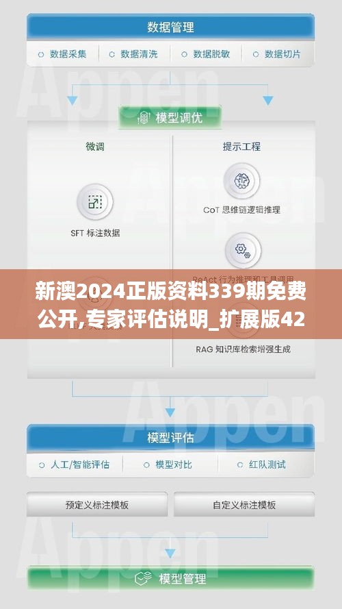 新澳2024正版資料339期免費(fèi)公開,專家評(píng)估說明_擴(kuò)展版42.739-8