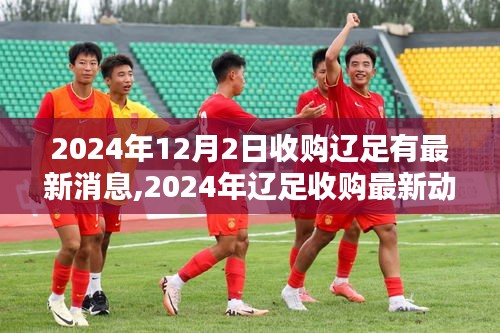 揭秘未來(lái)足球巨頭篇章，遼足收購(gòu)最新動(dòng)態(tài)與未來(lái)展望（2024年）