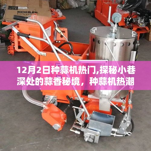 探秘小巷深處的蒜香秘境，種蒜機(jī)熱潮下的獨(dú)特小店，揭秘?zé)衢T種蒜機(jī)背后的故事