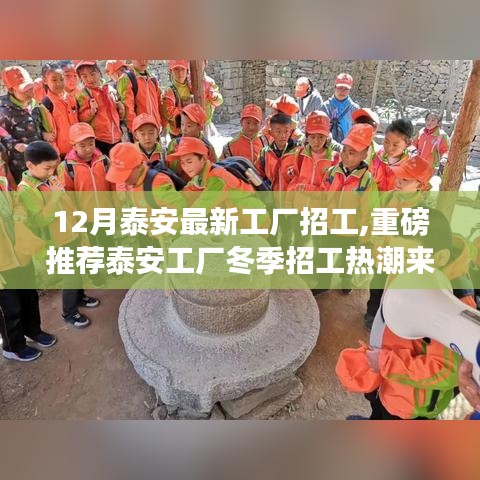 泰安冬季工廠招工熱潮來襲，最新崗位等你來加入！