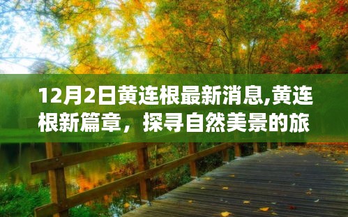 黃連根新篇章，探尋自然美景之旅，心靈寧靜的呼喚與笑聲相伴