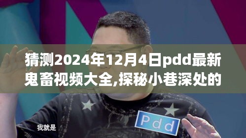 探秘PDD最新鬼畜視頻背后的神秘小店，揭秘小巷深處的鬼畜樂園，PDD最新視頻大全預(yù)測（2024年12月4日）