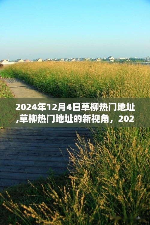 草柳熱門地址，獨(dú)特魅力與爭議下的新視角——2024年12月4日