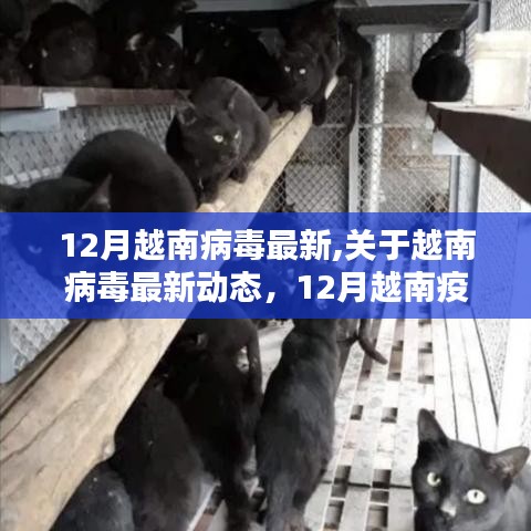 12月越南病毒最新動態(tài)，疫情應對指南與防護技能學習全解析
