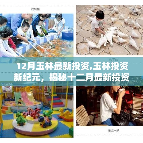 揭秘玉林投資新紀(jì)元，十二月最新投資熱點(diǎn)深度解析