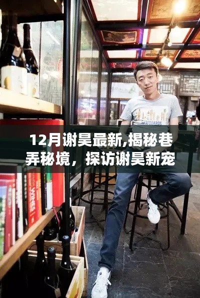 探訪謝昊新寵，揭秘巷弄秘境，特色小店隱藏在小巷中的十二月新發(fā)現(xiàn)