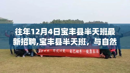 寶豐縣半天班招聘啟事，與自然美景的邂逅之旅，尋找內(nèi)心寧靜的啟程
