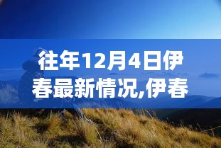 伊春探秘之旅，與自然共舞的心靈寧?kù)o之地最新動(dòng)態(tài)（12月4日）