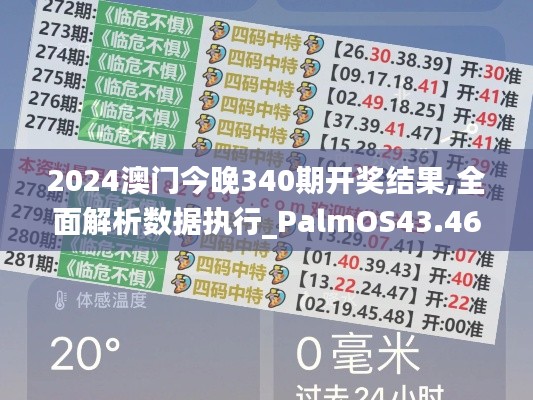 2024澳門今晚340期開獎結果,全面解析數(shù)據(jù)執(zhí)行_PalmOS43.464-9