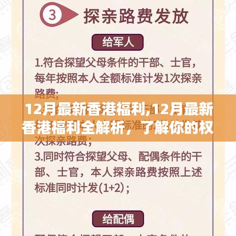 香港十二月福利全解析，保障權(quán)益，暢享生活