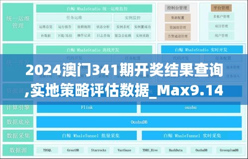 2024澳門341期開(kāi)獎(jiǎng)結(jié)果查詢,實(shí)地策略評(píng)估數(shù)據(jù)_Max9.141