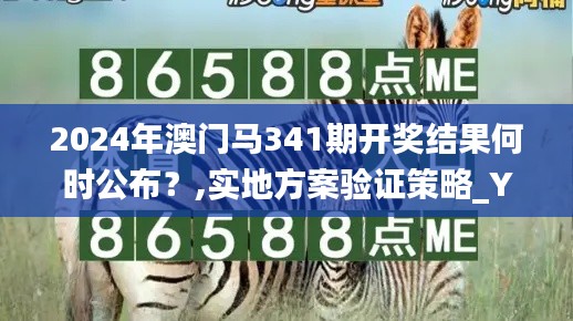 2024年澳門馬341期開獎結(jié)果何時公布？,實地方案驗證策略_YE版3.263