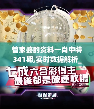 管家婆的資料一肖中特341期,實(shí)時(shí)數(shù)據(jù)解析_復(fù)古款4.582