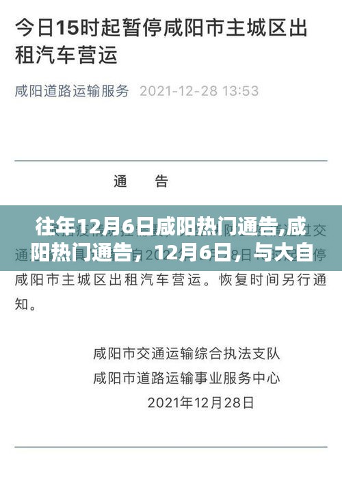 咸陽12月6日熱門通告，與自然共舞，探尋內(nèi)心寧靜之旅