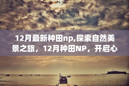 12月最新種田NP，自然美景之旅，開啟心靈探索之旅的鑰匙