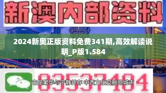 2024新奧正版資料免費(fèi)341期,高效解讀說明_P版1.584