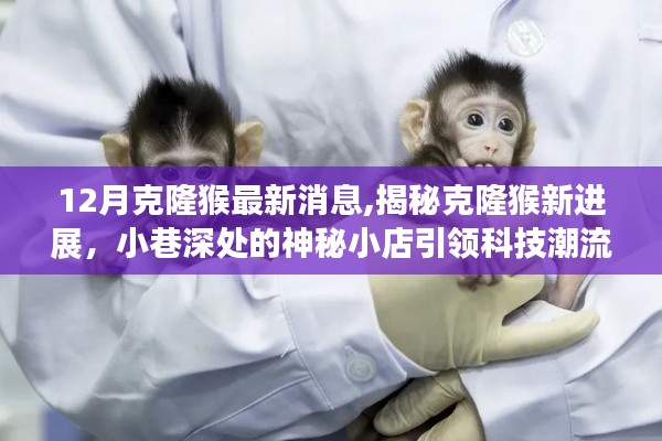揭秘克隆猴最新進(jìn)展，神秘小店引領(lǐng)科技潮流新動(dòng)態(tài)