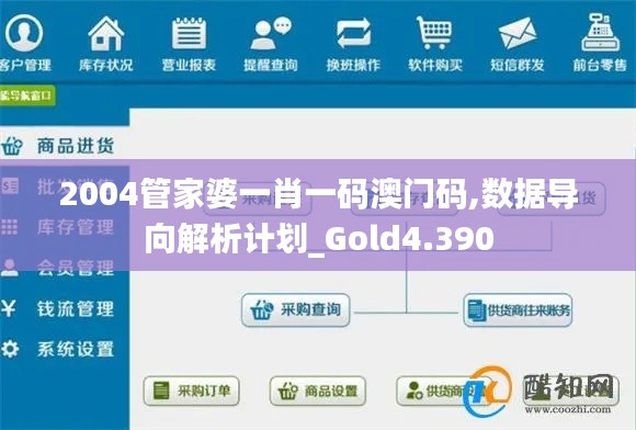 2004管家婆一肖一碼澳門碼,數(shù)據(jù)導(dǎo)向解析計(jì)劃_Gold4.390