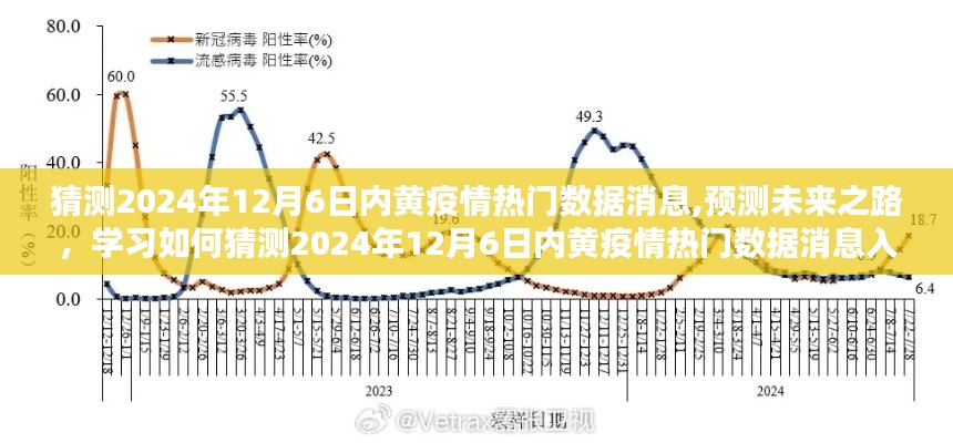 猜測2024年12月6日內(nèi)黃疫情熱門數(shù)據(jù)消息,預(yù)測未來之路，學(xué)習(xí)如何猜測2024年12月6日內(nèi)黃疫情熱門數(shù)據(jù)消息入門指南