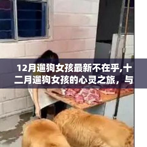 十二月遛狗女孩的心靈之旅，與自然美景的深情邂逅