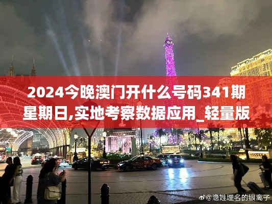 2024今晚澳門開什么號(hào)碼341期星期日,實(shí)地考察數(shù)據(jù)應(yīng)用_輕量版2.936