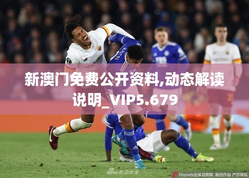 新澳門免費(fèi)公開資料,動(dòng)態(tài)解讀說明_VIP5.679