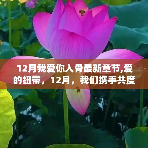 愛的紐帶，十二月溫馨共度時光