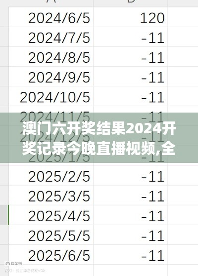 澳門六開獎結(jié)果2024開獎記錄今晚直播視頻,全面理解執(zhí)行計劃_V22.120