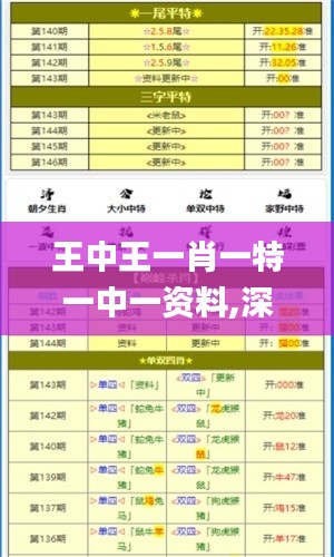 王中王一肖一特一中一資料,深度應(yīng)用解析數(shù)據(jù)_尊貴版10.316