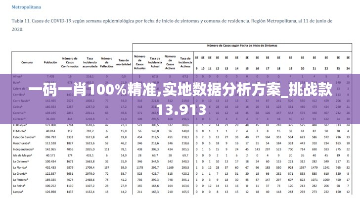 一碼一肖100%精準(zhǔn),實(shí)地?cái)?shù)據(jù)分析方案_挑戰(zhàn)款13.913
