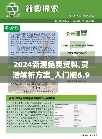 2024新澳免費(fèi)資料,靈活解析方案_入門版6.916