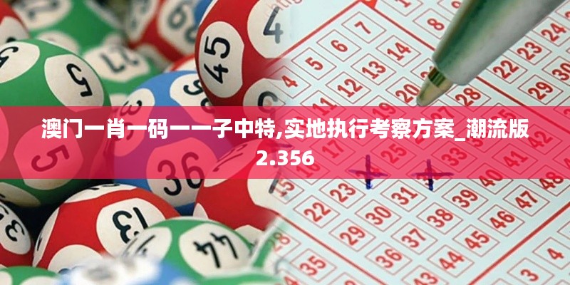 澳門(mén)一肖一碼一一子中特,實(shí)地執(zhí)行考察方案_潮流版2.356