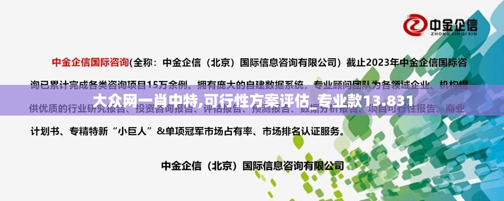 大眾網(wǎng)一肖中特,可行性方案評估_專業(yè)款13.831