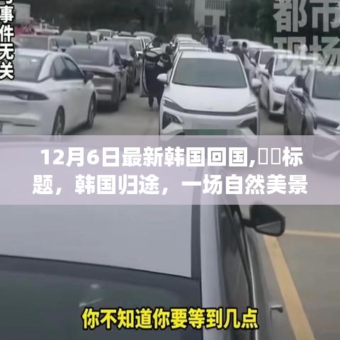 粗制濫造 第5頁