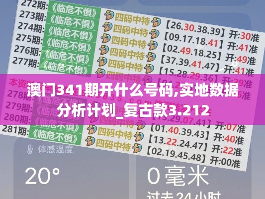 澳門341期開什么號碼,實地數(shù)據(jù)分析計劃_復(fù)古款3.212