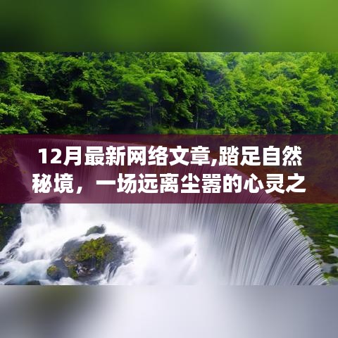 踏足自然秘境，一場(chǎng)遠(yuǎn)離塵囂的十二月心靈之旅