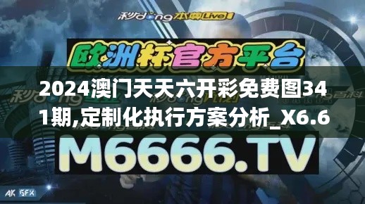 2024澳門天天六開彩免費圖341期,定制化執(zhí)行方案分析_X6.632