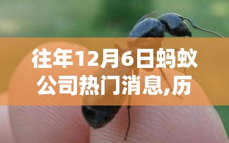 歷年12月6日科技巨浪掀起，螞蟻公司熱門消息大盤點