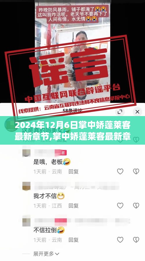 掌中嬌蓬萊客最新章節(jié)深度解析，背景、事件與影響，2024年12月6日獨家揭秘
