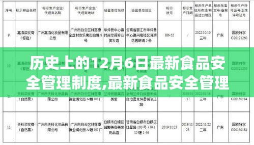 最新食品安全管理制度深度解析，歷史沿革、用戶體驗(yàn)與競品對比測評(píng)報(bào)告
