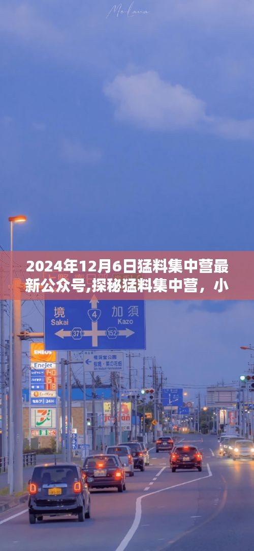 探秘猛料集中營(yíng)，小巷深處的獨(dú)特風(fēng)味集結(jié)號(hào)（公眾號(hào)最新資訊）