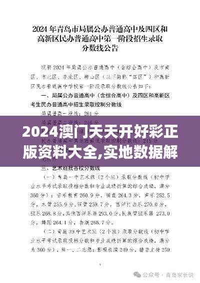 2024澳門天天開好彩正版資料大全,實地數(shù)據(jù)解釋定義_T7.326