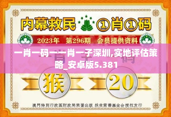 一肖一碼一一肖一子深圳,實(shí)地評估策略_安卓版5.381