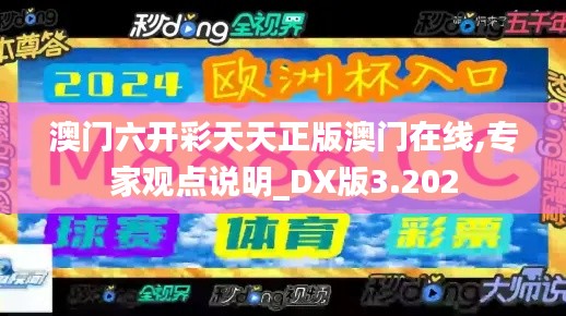 澳門六開彩天天正版澳門在線,專家觀點(diǎn)說明_DX版3.202