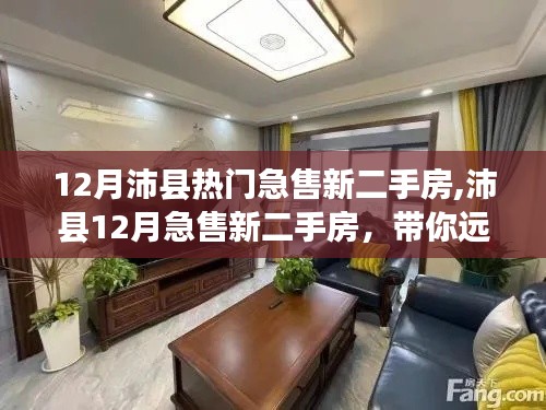 沛縣12月熱門急售新二手房，遠(yuǎn)離塵囂的詩意家園探索之旅