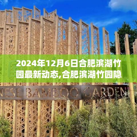 揭秘合肥濱湖竹園寶藏小店，一場獨(dú)特的探索之旅（最新動(dòng)態(tài)）