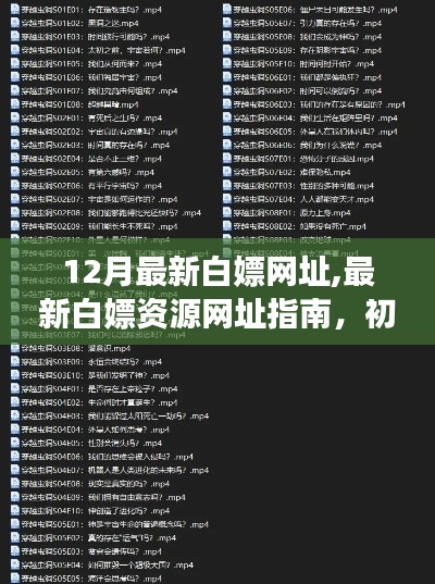12月最新白嫖網(wǎng)址大全，從初學(xué)者到進(jìn)階用戶的資源獲取指南