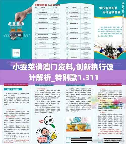 小雯菜譜澳門資料,創(chuàng)新執(zhí)行設計解析_特別款1.311